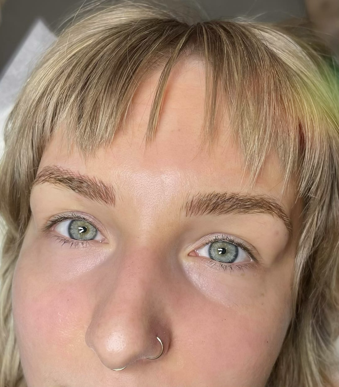Microblade/ Powder 2-3 yr touch up