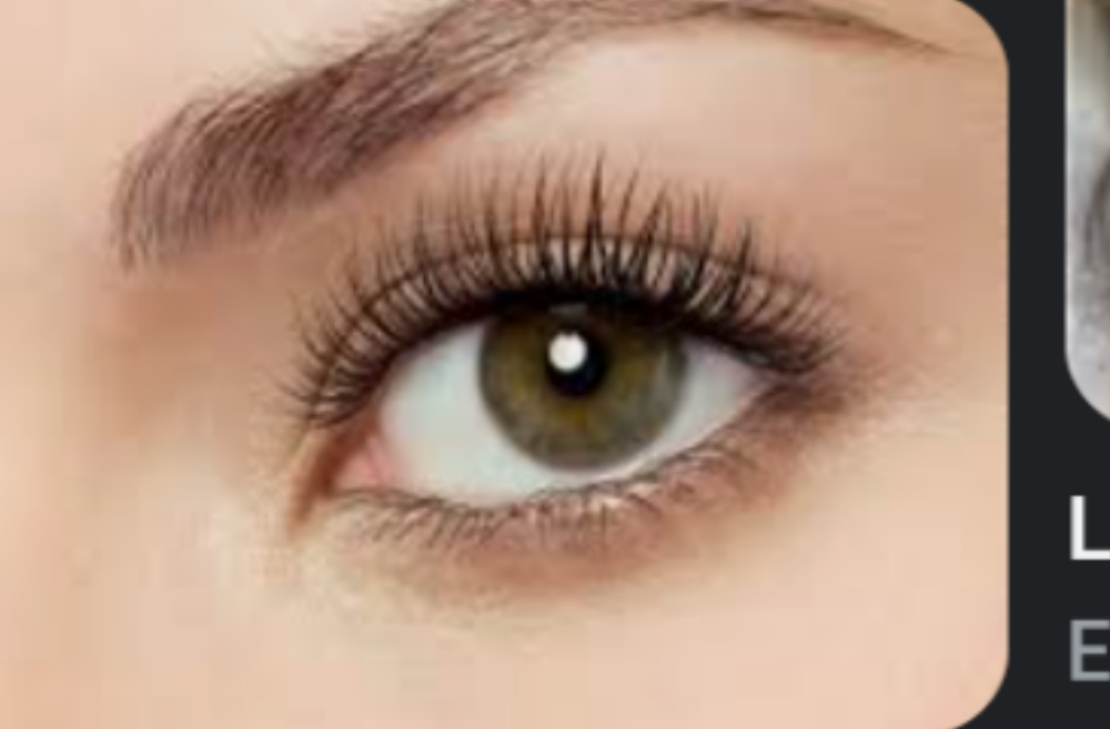 Brow or Lash Tint Service