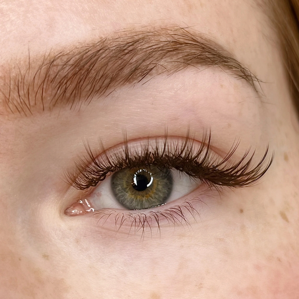 Brown Lashes Upgrade at Gingie Lashes & Brows in Buffalo Grove, IL