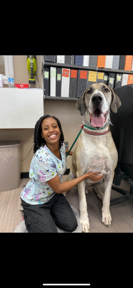 Bath & Brush {90-120lbs}