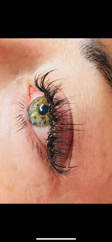 Hybrid Lash Extension