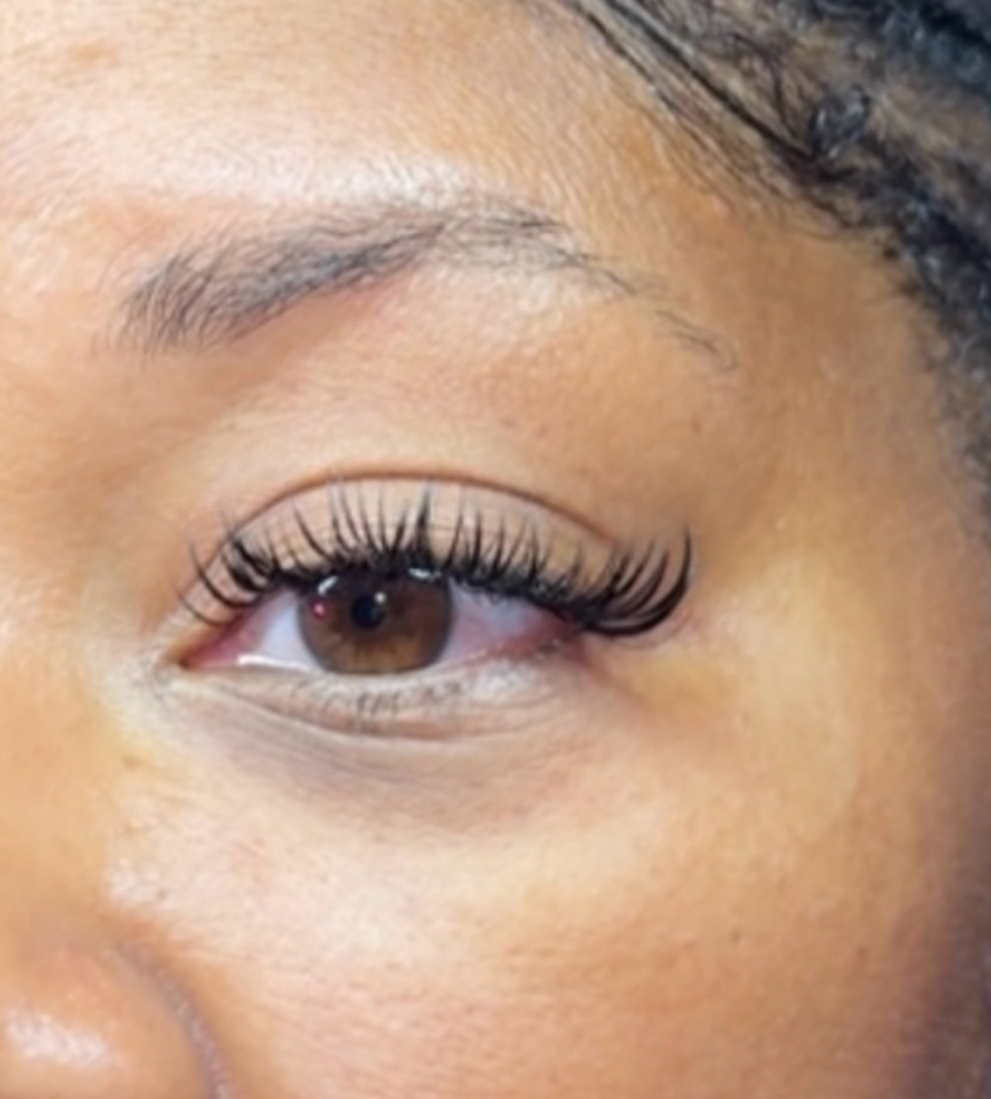 Wet Set at TLashCo. in Houston, TX