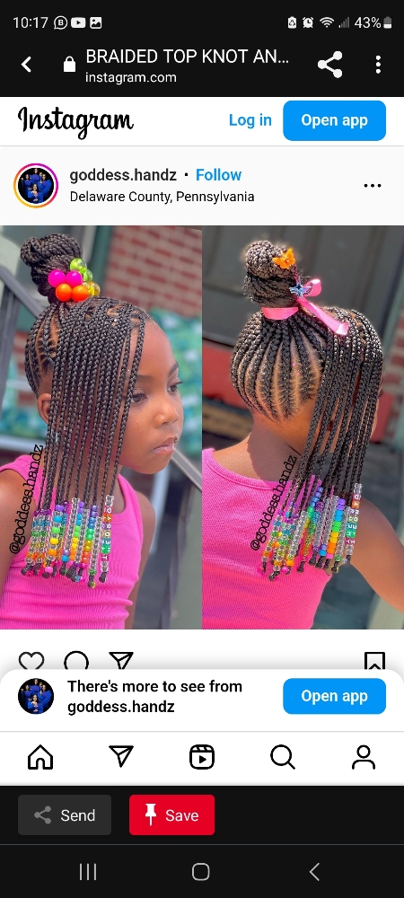 Freestyle Braids