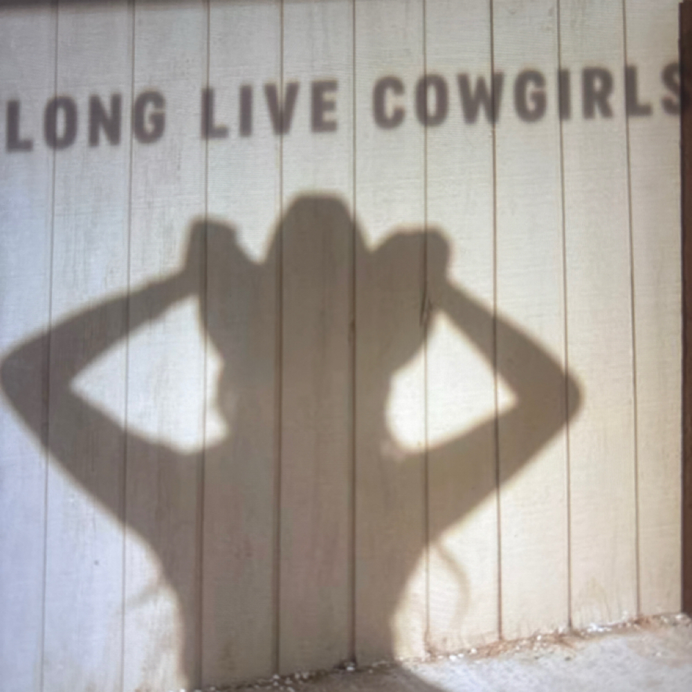 Acrylic Medium Set at Cowgirl Gloss Co. in Idaho Falls, ID