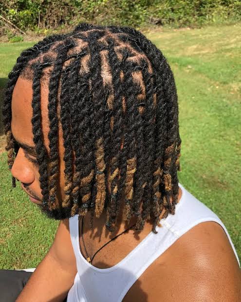 Loc Retwist