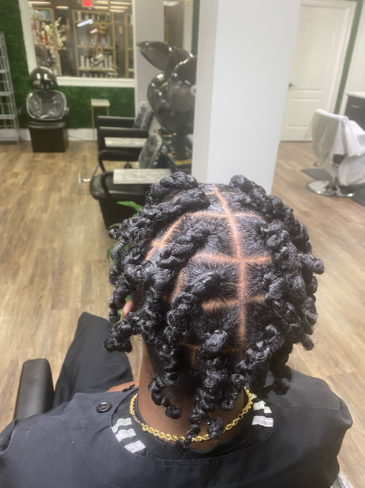 Two Strand Twist