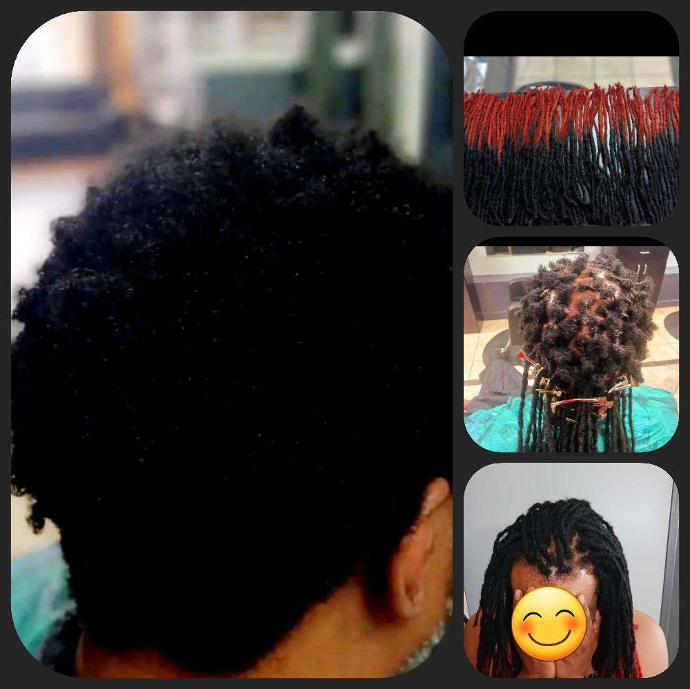 Loc Extensions /w Starter Locs