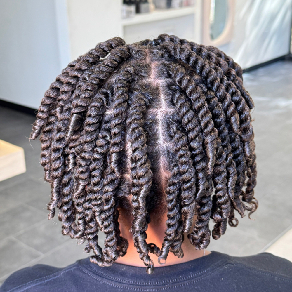 Two Strand Twists at Bri The Hair Bender in Flower Mound, TX