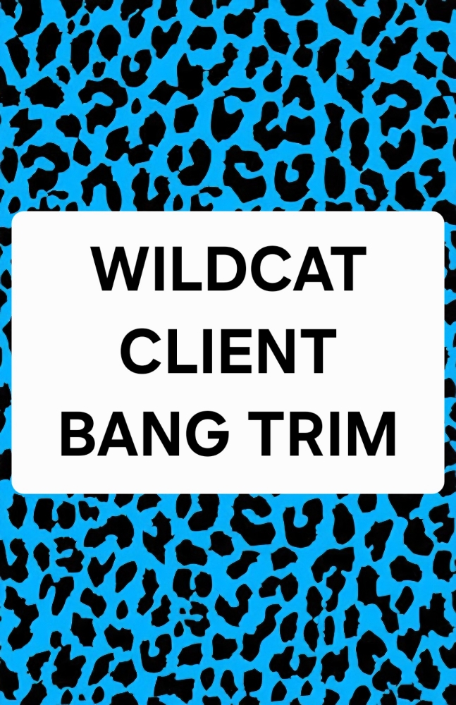 Wildcat Client Bang Trim ($15) at WILDCAT HAIR STUDIO in San Diego, CA