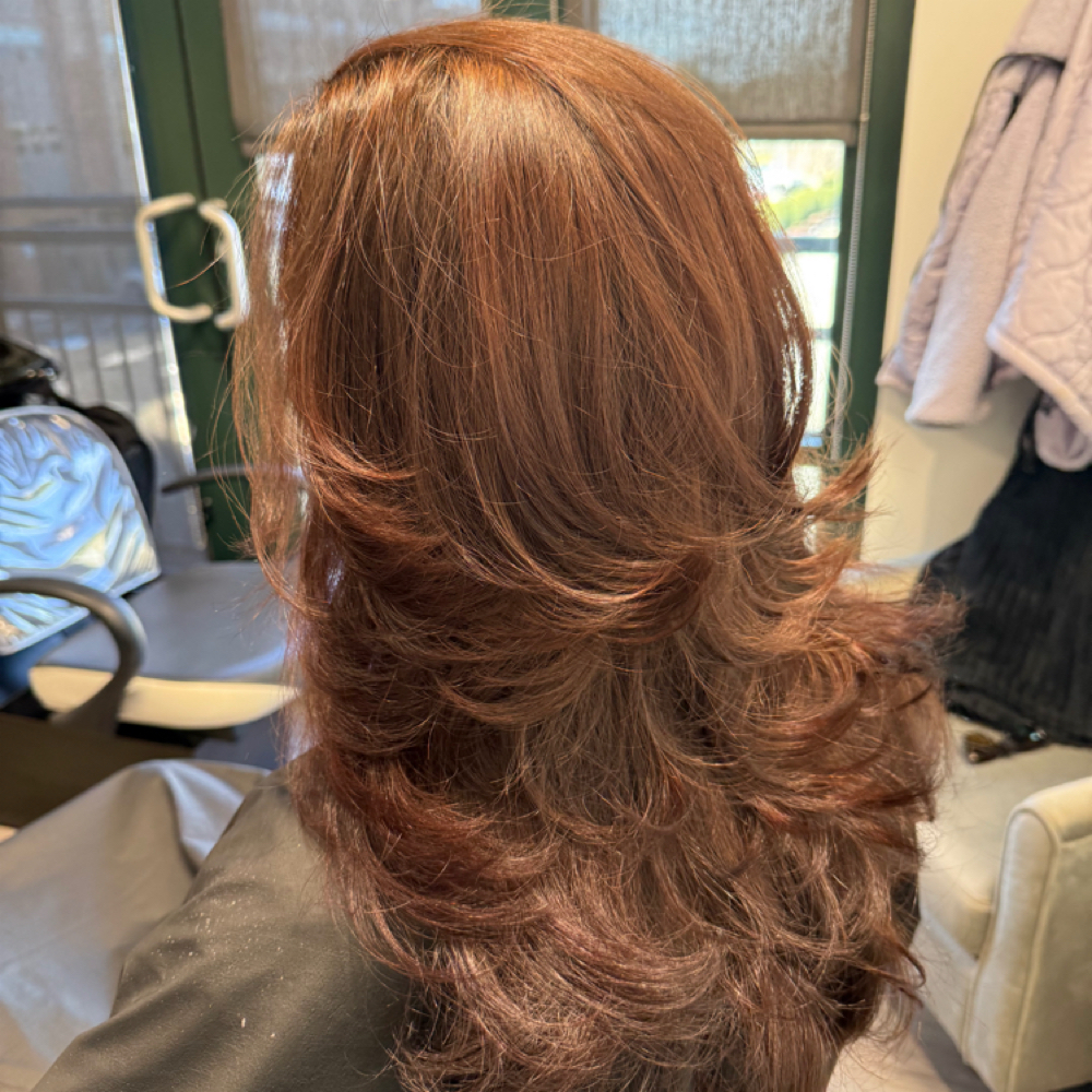 Women's Cut and Blow-dry at JL Hair Studio in Davidson, NC