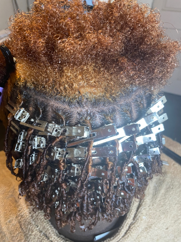 Starter Locs