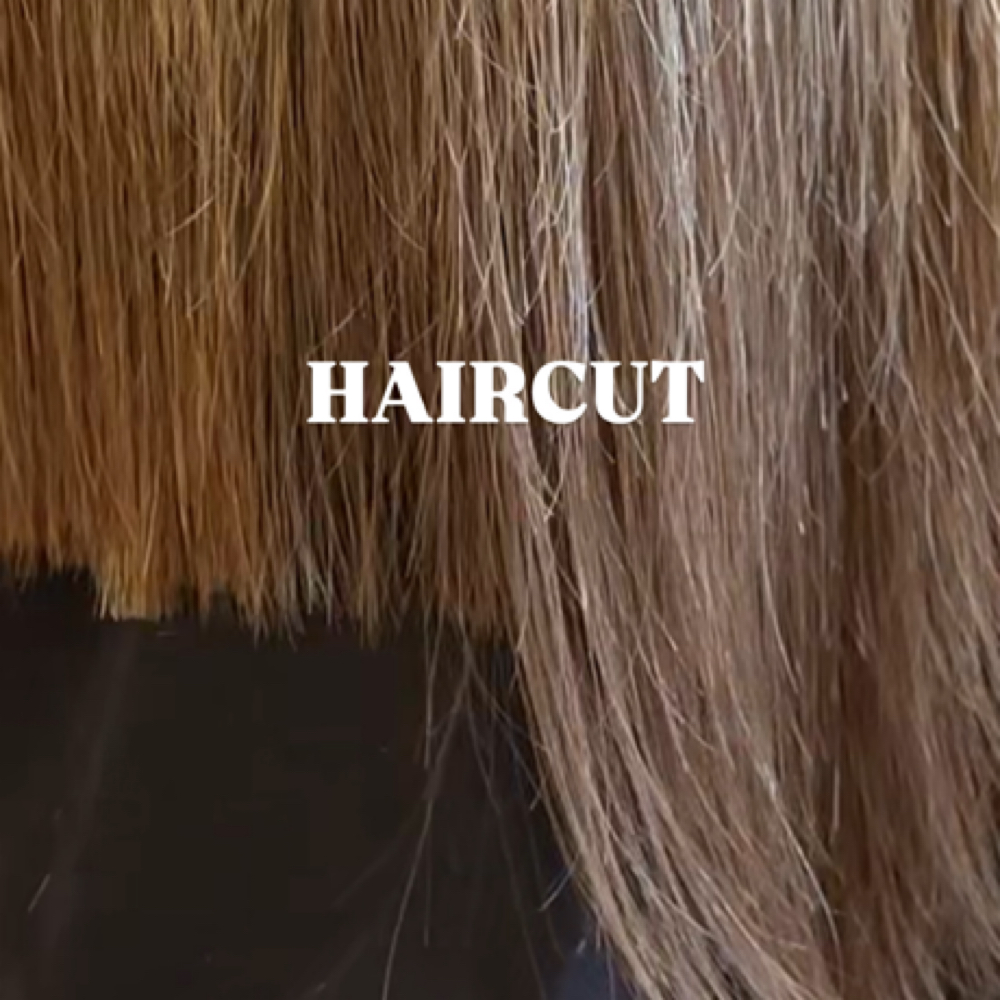 Haircut