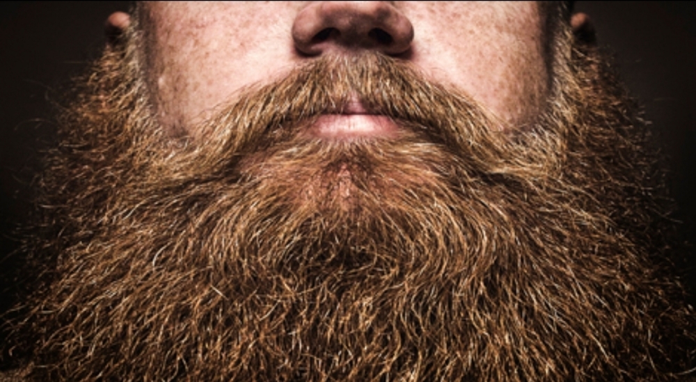 Deep Conditioning Beard Treatment