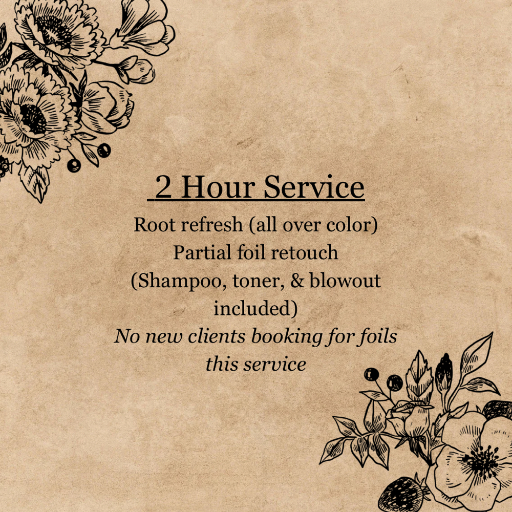 2 Hour Color Service at Dahlia Salon + Spa in Evans, GA