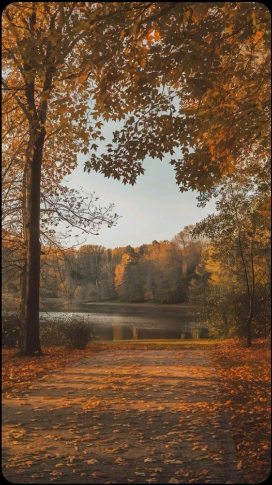 The Fall Retreat HydraFacial