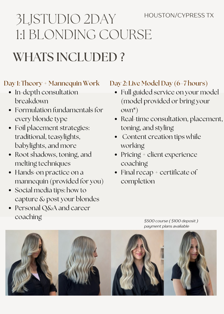 1:1 Blonding Course