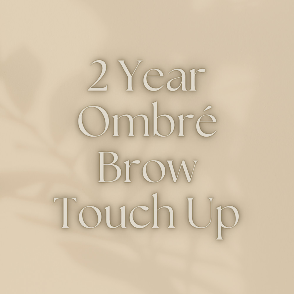 2 Year Ombre Brow Touch Up