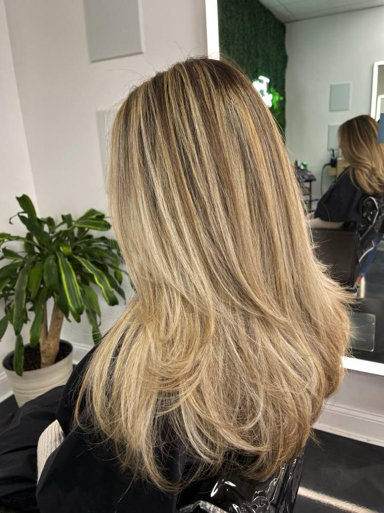 Partial Highlight + Gloss + Blowdry
