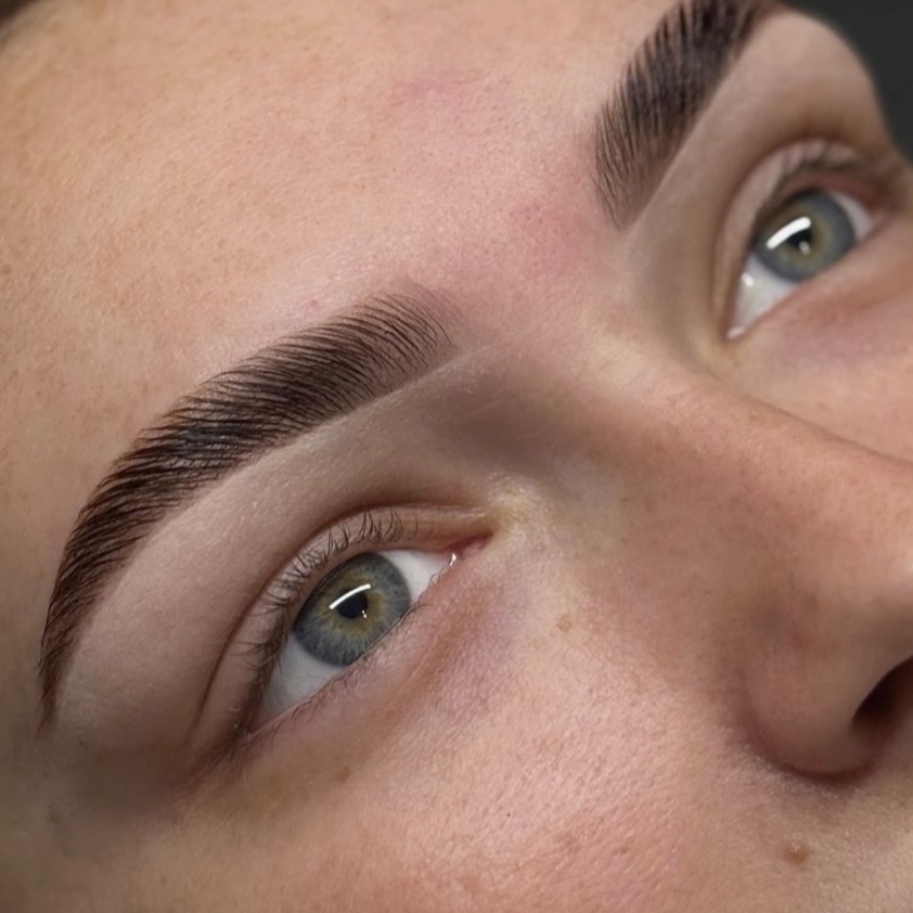 Brow Lamination + Wax + Tint