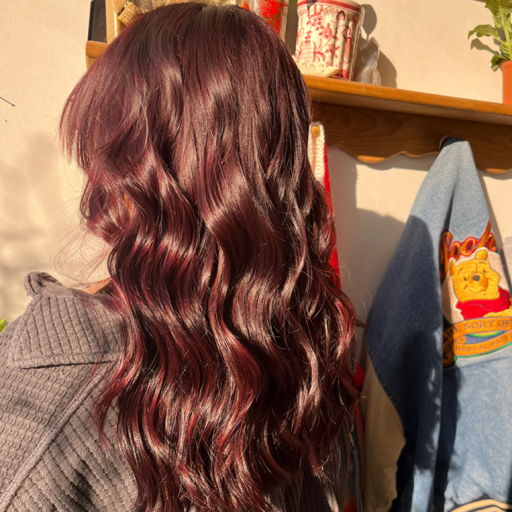 Single Procces All Over at Hair By SG—@ Moss Salon Studios in Kansas City, MO