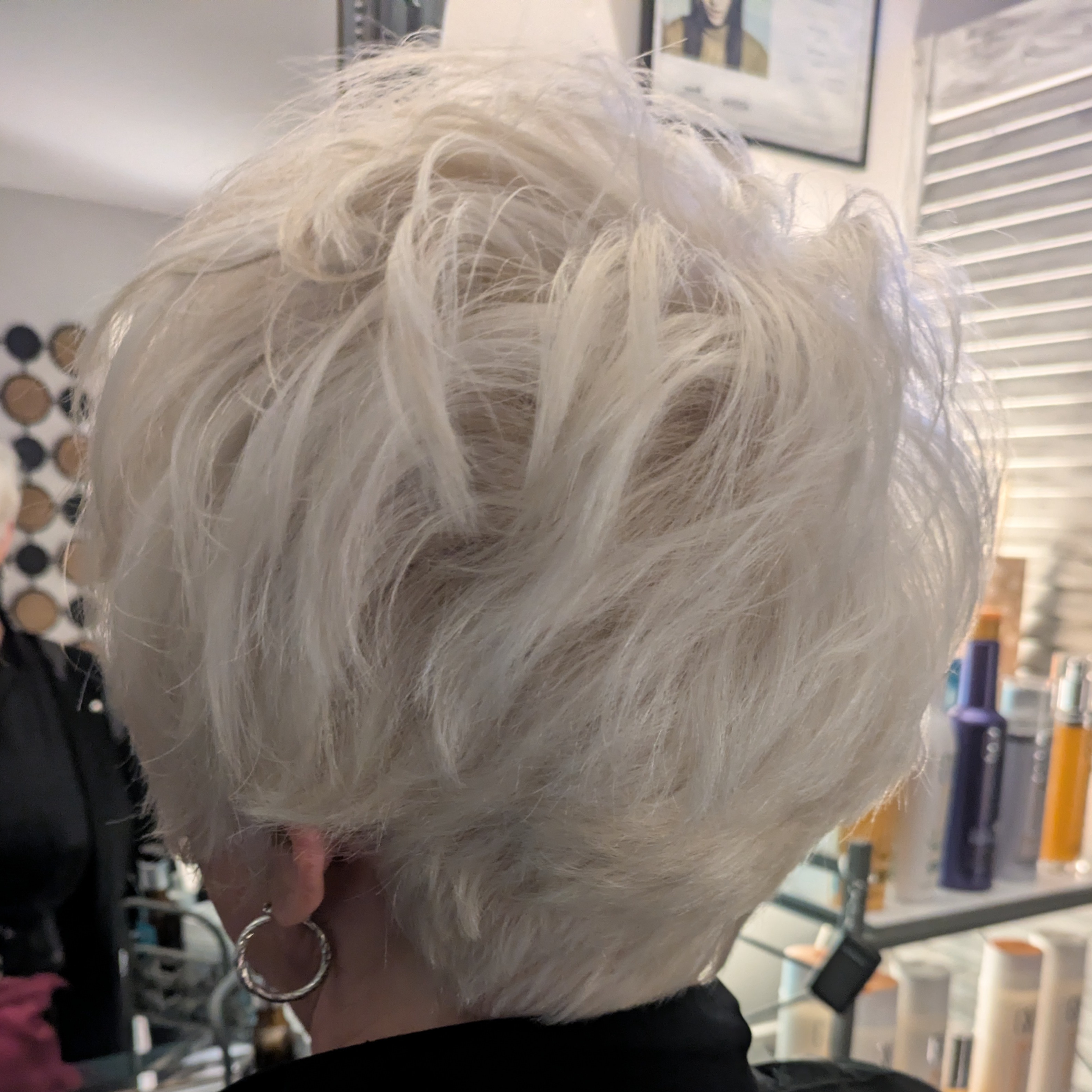 Platinum Alchemy Transformation at Cornucopia Hair Atelier in Memphis, TN
