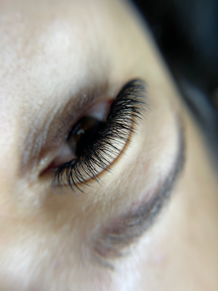 Volume Lash Set