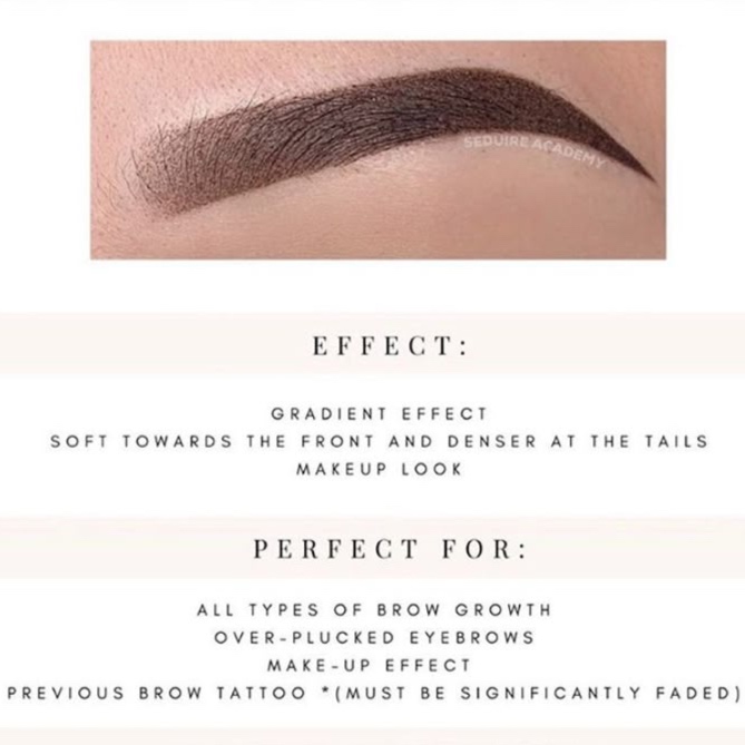 OMBRE/POWDER BROWS at Ms. Brows in Westminster, MD