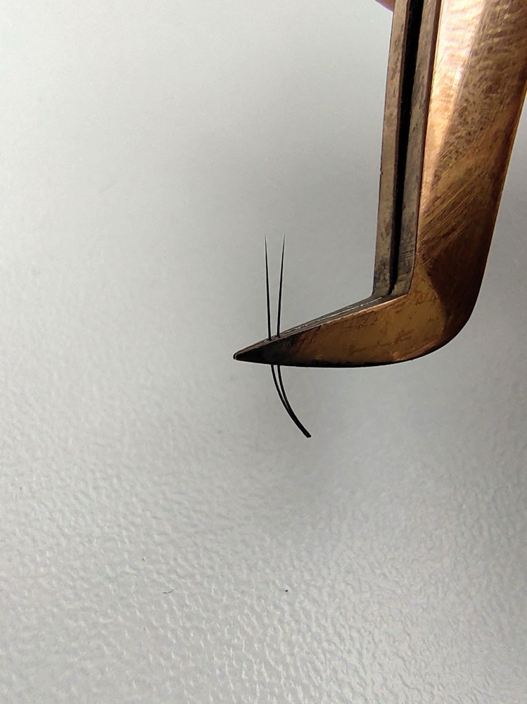 Combo: Classic + Hybrid Lashes