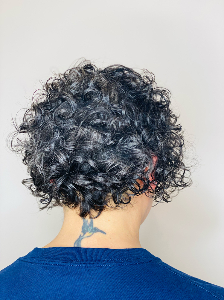 Short (Cropped) Curly Cut Refresh