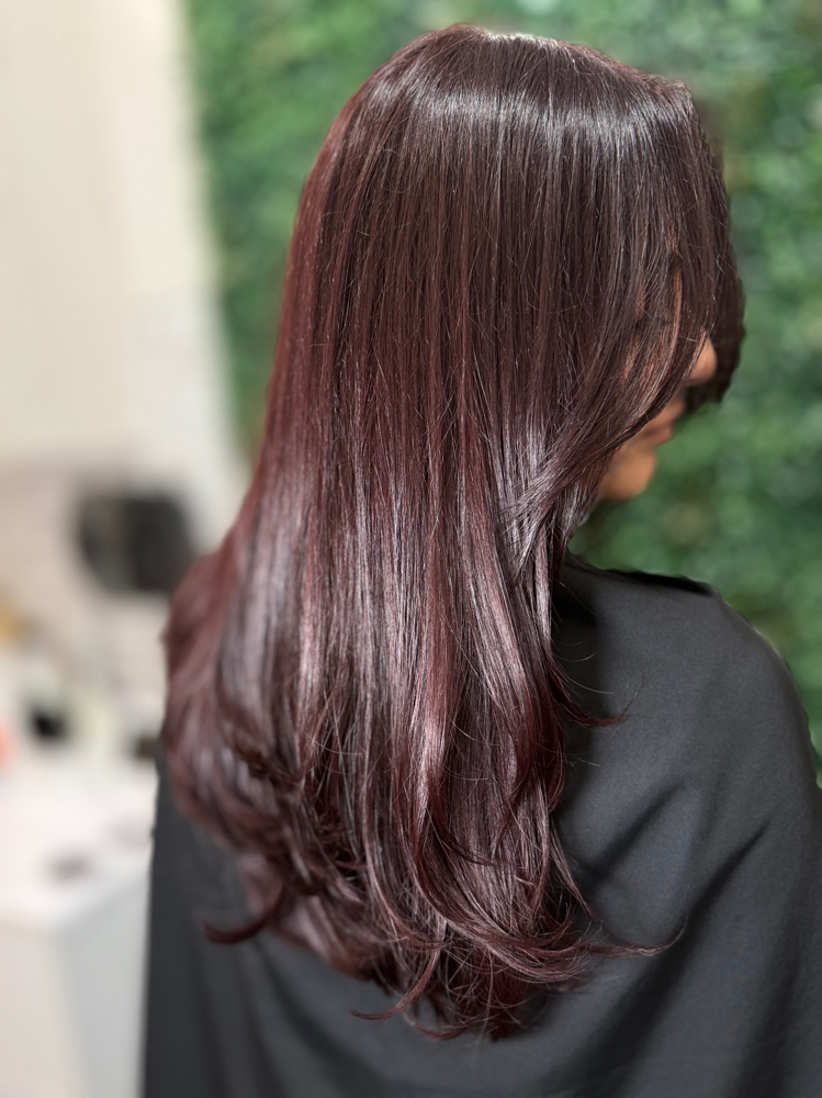All Over Color at Lotus Hair Salon in Northridge, CA