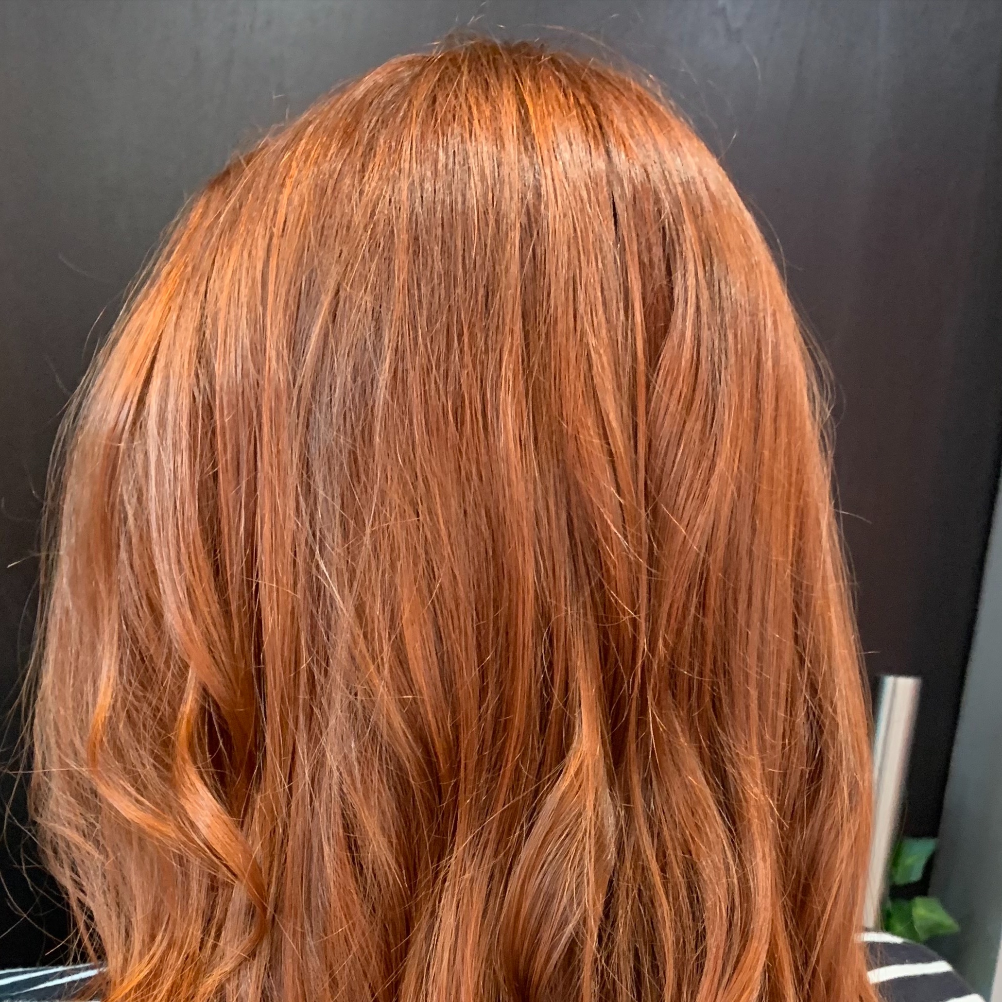 All Over Color Session at J Lynn Styles, LLC in Arlington, VA