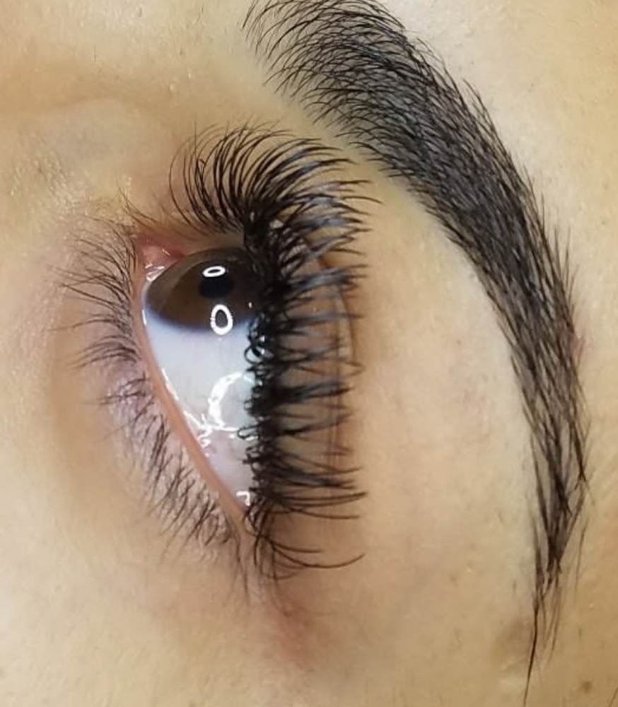 Extended Lash Fill