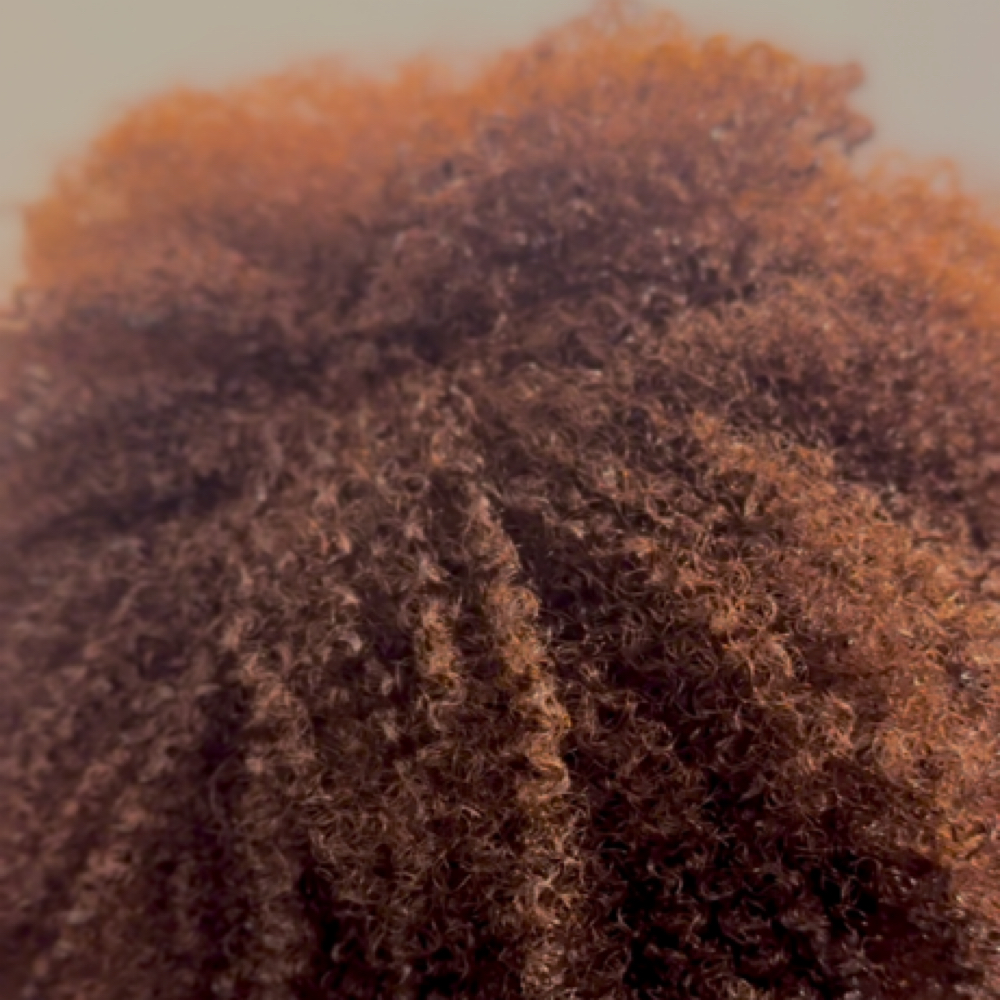 Lighten/Tone Double Process at theLoft Social Hair Studio LLC. in Alexandria, VA