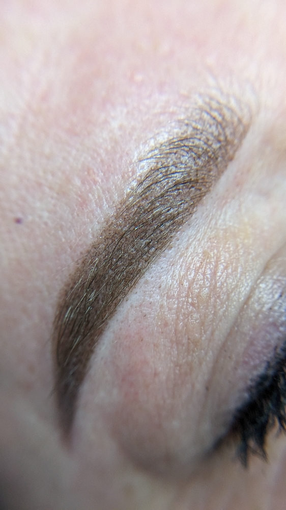 POWDER BROWS Annual Touch Up