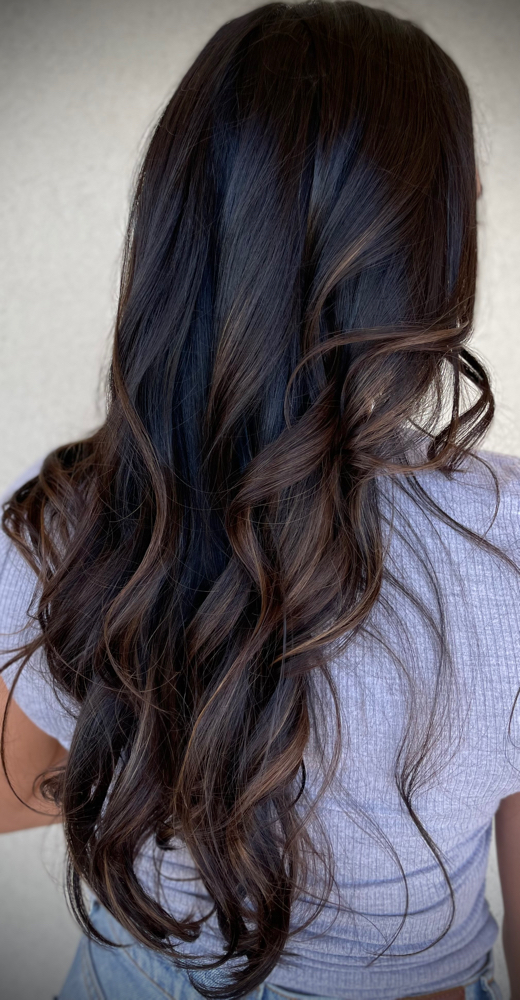 Mini Balayage + Signature Blowout