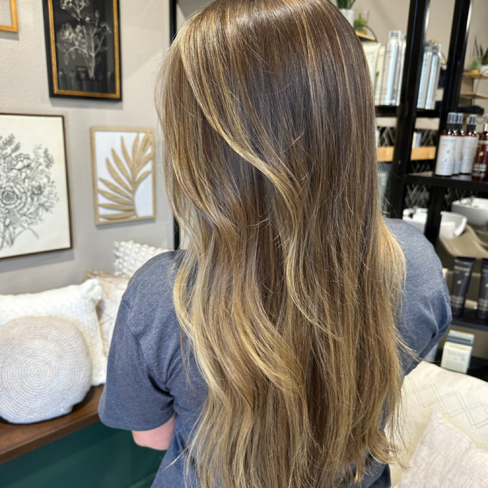 Partial Balayage at Modern Mane Hair Co in Spring, TX