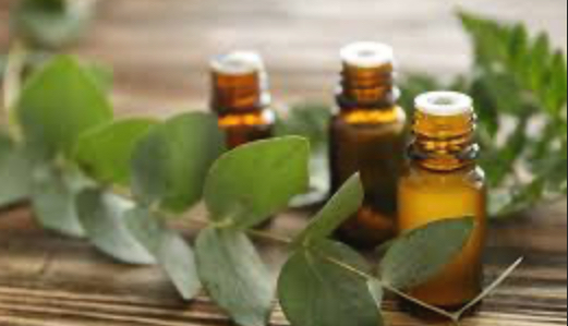 Eucalyptus Essential Oils ADD-ON