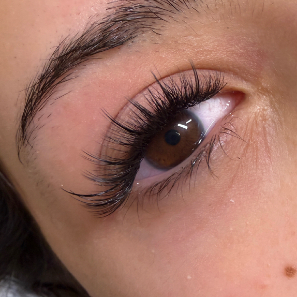 Wispy Set at Silklashnbrow in Garden Grove, CA