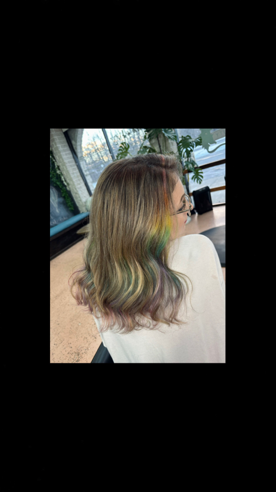 Full Highlight