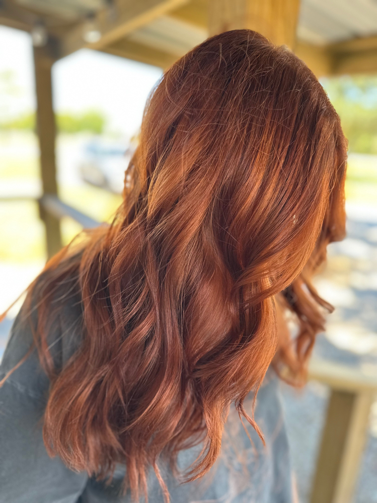 Root Touch Up
