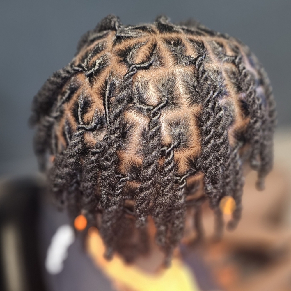 Locs 2 Strand Twist (Short) at Kinky Rootz242 Natural Hair Studios LLC in Ft Lauderdale, FL