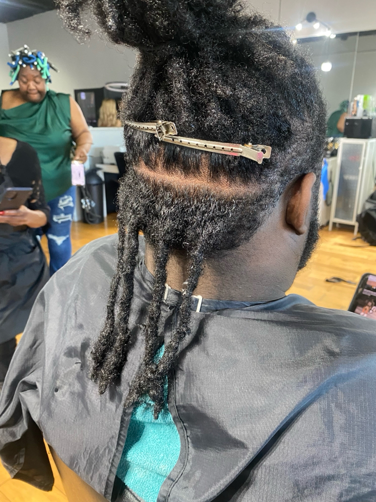 Starter Locs