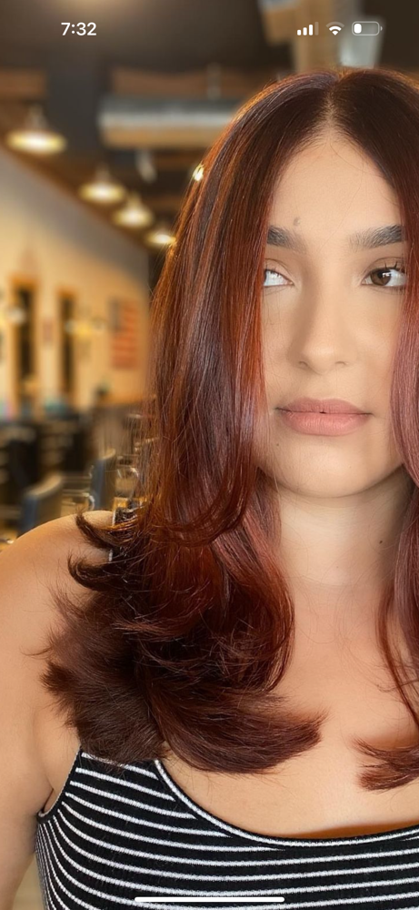 shampoo & blow dry/style