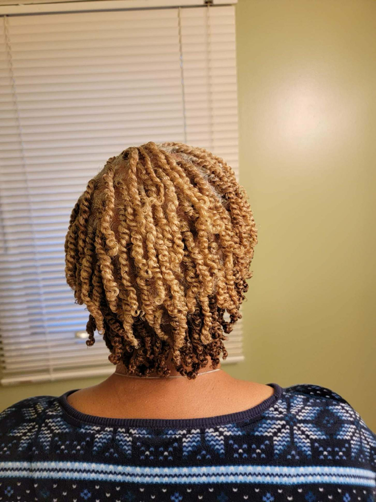 Natural Hair Two Strand Twist