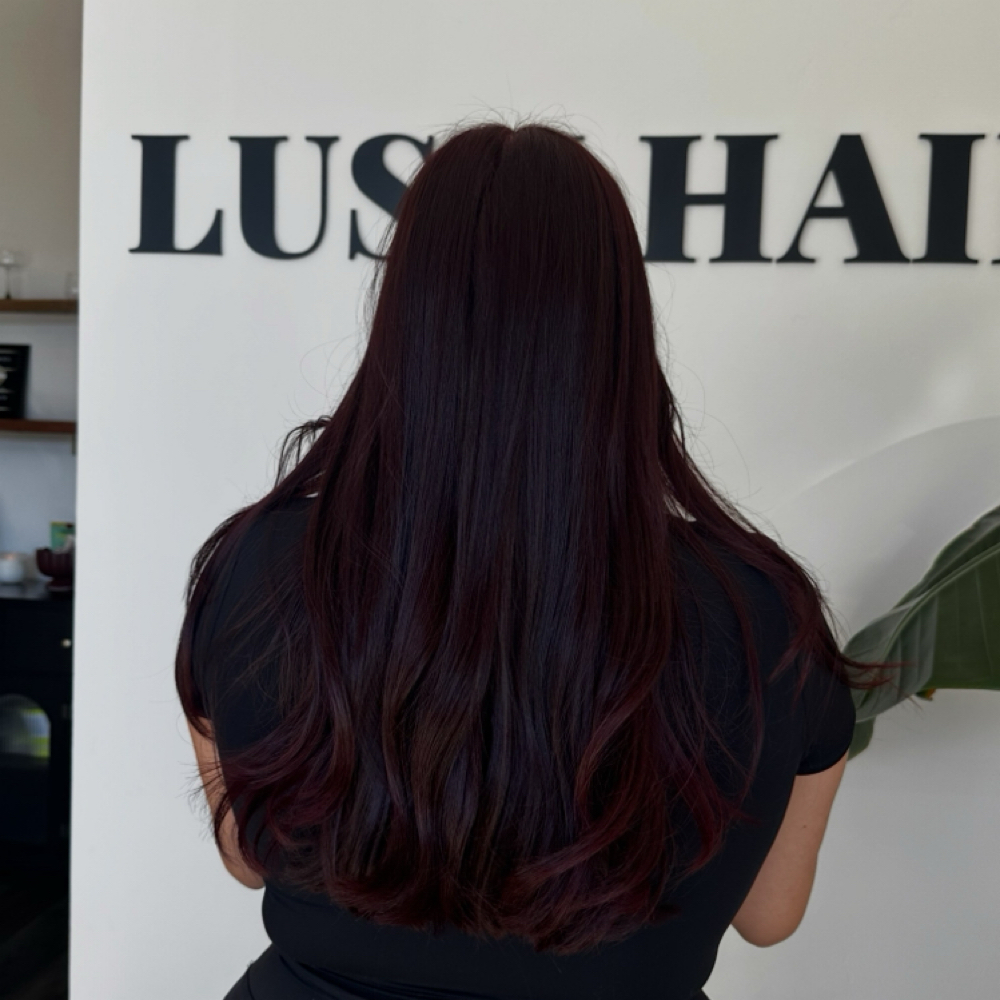 Root Touch Up & Gloss at Lush Hair & Co in Sacramento, CA