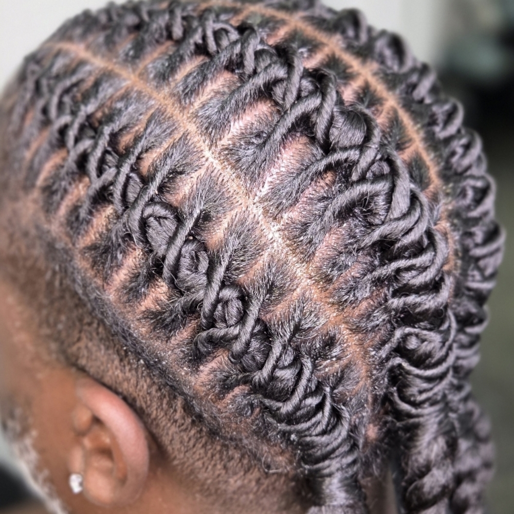 Barrel Twist/Temporary Loc Styles at Chariese Ray in Hazelwood, MO