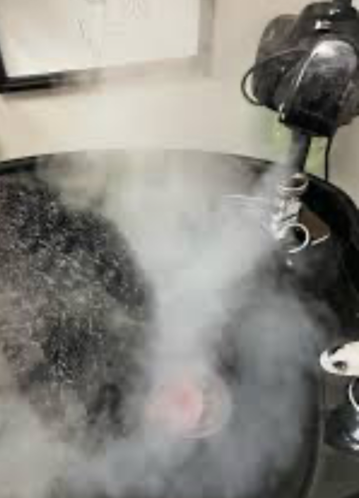 STEAM TREATMENT