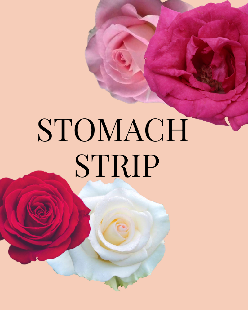 STOMACH STRIP