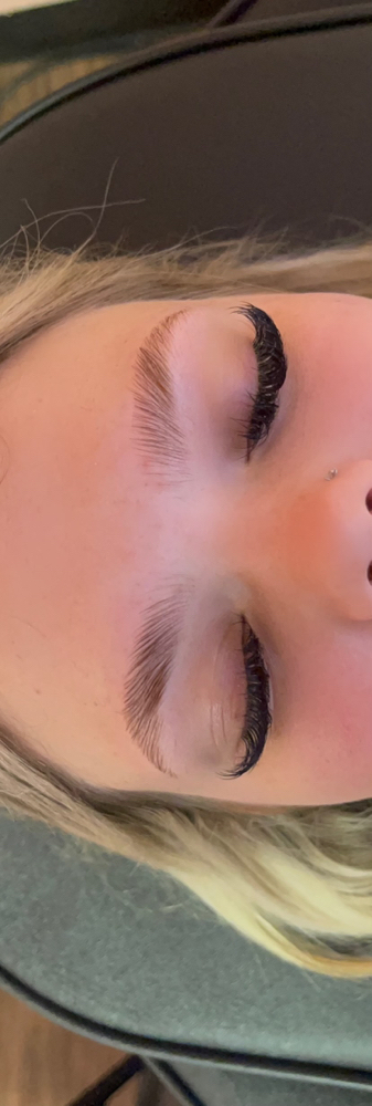 Eyebrow Lamination
