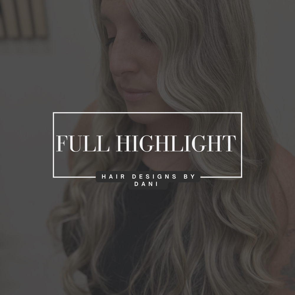 Full Highlights at Hair Designs By Dani in Plainview, NY